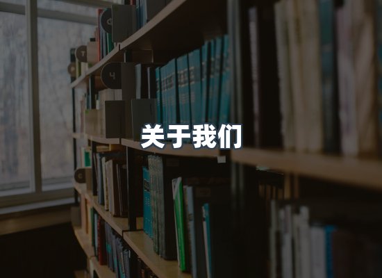 专业团队